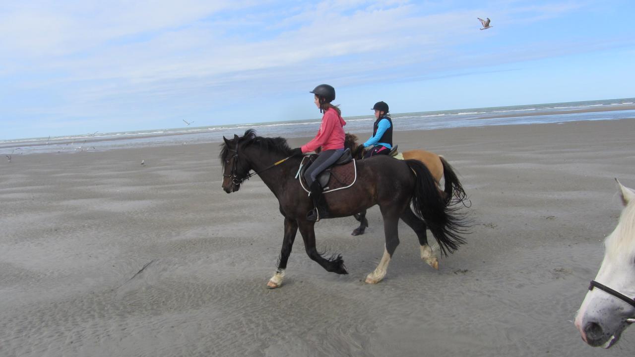 Retour vers les dunes au petit trot...