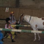Cow boys's games