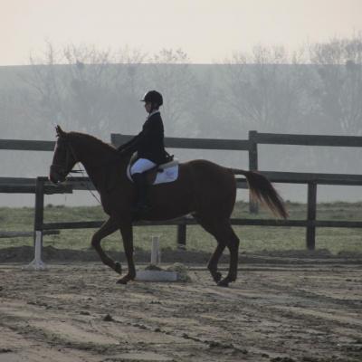 Concours dressage Rethel Mars 2012