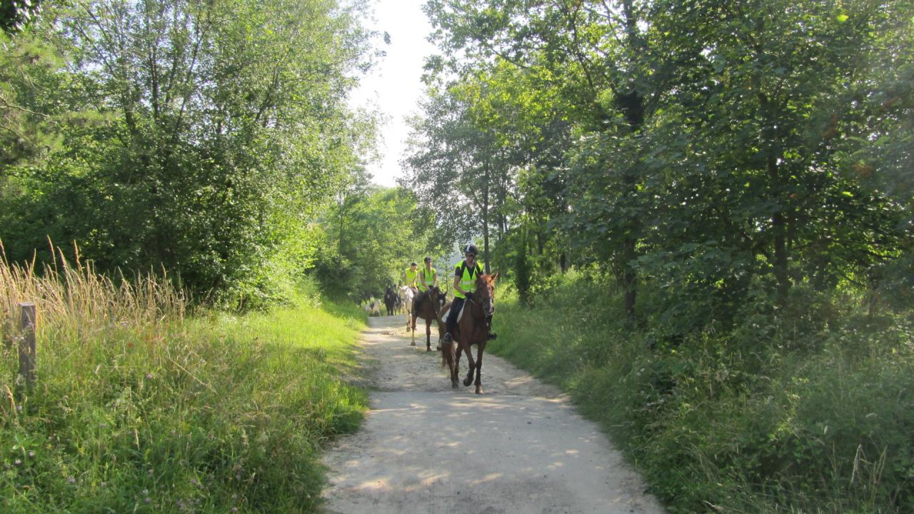 Depart pour 37 km direction resérve indienne à Suzy!