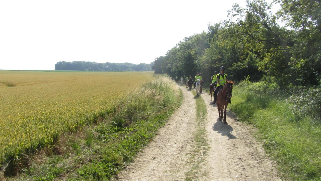 Sur les chemins........