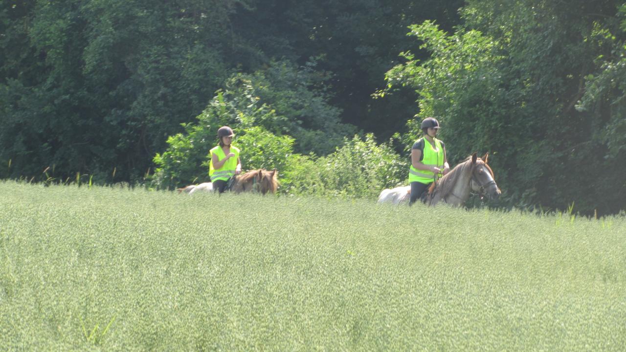 Man et Polichon sur Pluton et Jonquille