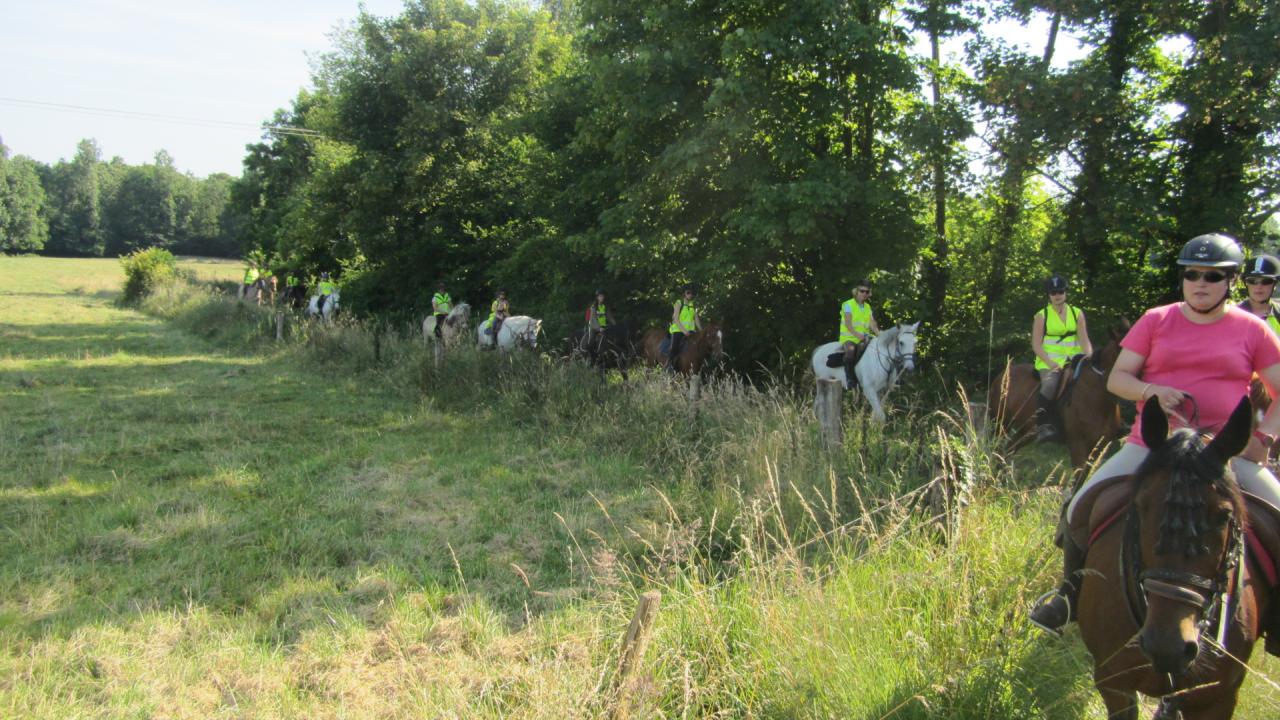 Des cavaliers randonneurs