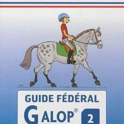 Galop 1 mettre et ajuster le licol - Galop Connaissances