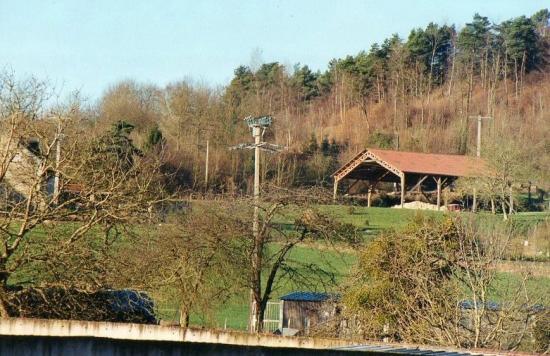 img165.jpg