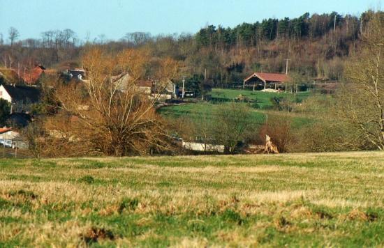 img168-1.jpg