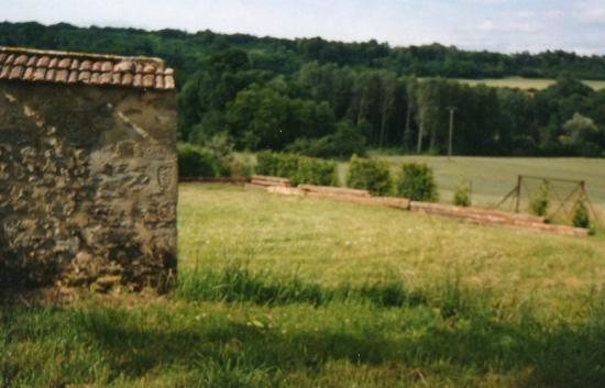 img183.jpg