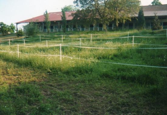 img209.jpg